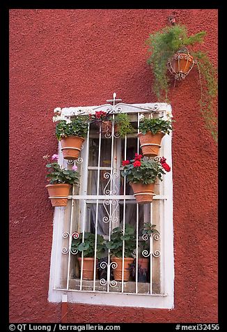 Window decorated with many potted plants. Guanajuato, Mexico