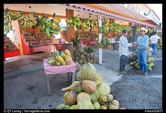 Roadside fruit stand. Mexico (color)