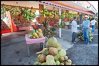Roadside fruit stand. Mexico ( color)