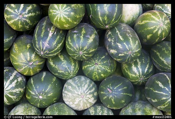 Watermelons. Mexico (color)