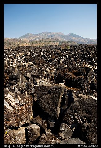 Hardened lava field. Mexico (color)