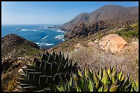 Mountainous Pacific coastline. Baja California, Mexico ( color)