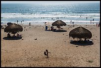 Straw sun shelter umbrellas and ocean, Ensenada. Baja California, Mexico ( color)