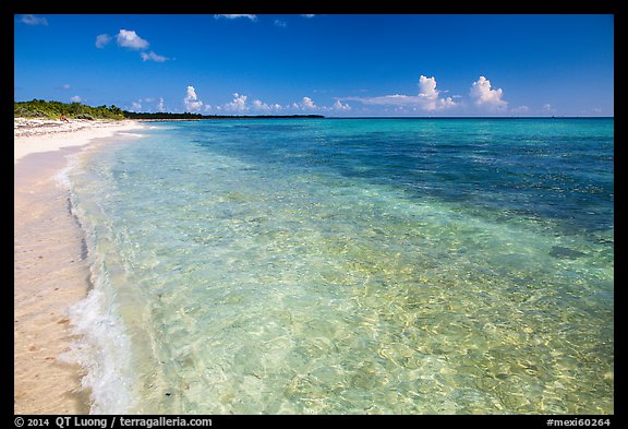 Beach with clear water. Cozumel Island, Mexico