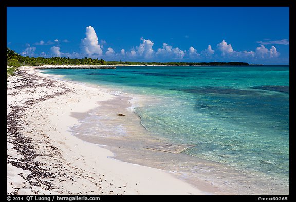 Sandy beach. Cozumel Island, Mexico (color)
