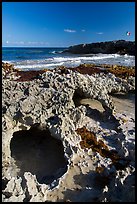 Rock with sea arches, El Mirador. Cozumel Island, Mexico ( color)
