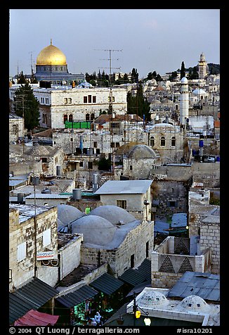 Old town rooftops and Dome of the Rock. Jerusalem, Israel (color)