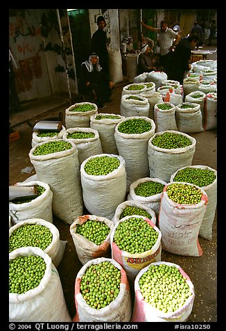 Freshly picked olives for sale, Hebron. West Bank, Occupied Territories (Israel) (color)