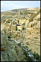 Mar Saba Monastery and steep Kidron River gorge. West Bank, Occupied Territories (Israel) ( color)