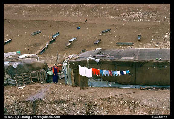 Bedouin camp, Judean Desert. West Bank, Occupied Territories (Israel)