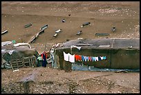 Bedouin camp, Judean Desert. West Bank, Occupied Territories (Israel) (color)