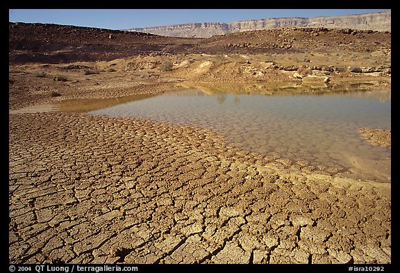 Cracked mud and shallow pond, near Mitzpe Ramon. Negev Desert, Israel
