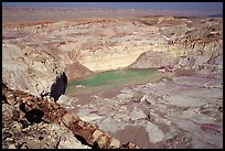 Shallow pond and colored rocks, near Mitzpe Ramon. Negev Desert, Israel ( color)