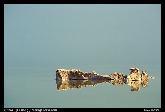 Salt formations reflected in the Dead Sea. Israel