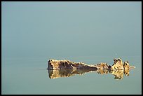 Salt formations reflected in the Dead Sea. Israel ( color)