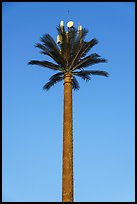 Cell tower shaped as palm tree. United Arab Emirates ( color)