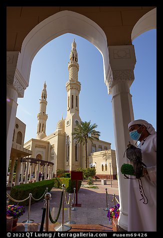 Man with falcon, Jumeira Mosque. United Arab Emirates (color)