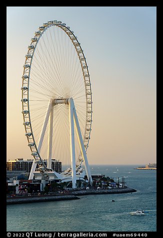 Ain Dubai Ferris Wheel, largest in the world. United Arab Emirates (color)
