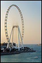 Ain Dubai Ferris Wheel, largest in the world. United Arab Emirates ( color)