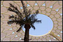 Looking up Al Wasl. Expo 2020, Dubai, United Arab Emirates ( color)
