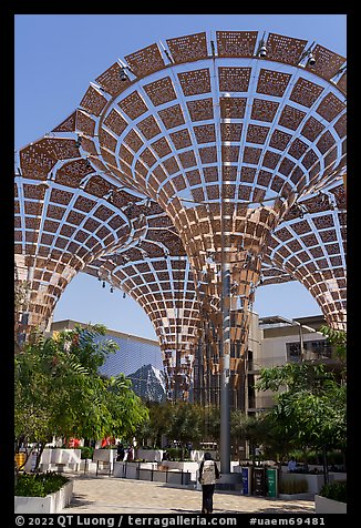 Floral-inspired shade structures in Mobility District. Expo 2020, Dubai, United Arab Emirates (color)