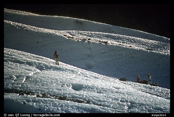 Alpinists training at the bottom of the Bossons glacier. Alps, France