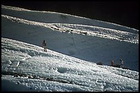 Alpinists training at the bottom of the Bossons glacier. Alps, France