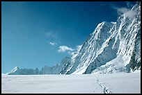 North faces of Les Droites and Les Courtes, seen from the Argentiere Glacier. Alps, France (color)