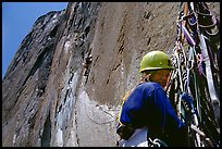 The belayer can relax once the rivet ladder is reached. El Capitan, Yosemite, California (color)