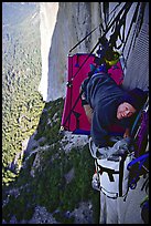 Looking for breakfast on the portaledge. El Capitan, Yosemite, California (color)