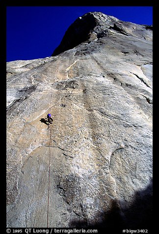 Jugging back to Sickle. Only 34 pitches to go !. El Capitan, Yosemite, California