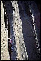 Like many, the pitch above Dolt Towe is crack climbing. El Capitan, Yosemite, California