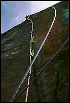 Leading the next pitch, a thin crack in the middle of nowhere. El Capitan, Yosemite, California