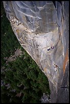 Waiting at Guano ledge. Leaning Tower, Yosemite, California (color)