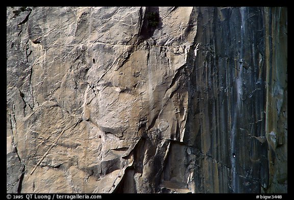 Sunny side: the South Face route (look for the 4 climbers). Washington Column, Yosemite, California (color)