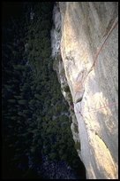 The South Face: Frank on the nut pitch. Washington Column, Yosemite, California (color)