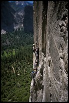 Belay on the third pitch of Mescalito, El Capitan. Yosemite, California