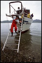Kayaker comes down Glacier Bay Lodge concession boat for a drop-off. Glacier Bay National Park, Alaska ( color)