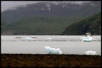 Taxi boat, kayaks, and icebergs near McBride Glacier. Glacier Bay National Park, Alaska ( color)