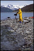 Large format photographer wearing kayaking gear on a beach in East Arm. Glacier Bay National Park, Alaska ( color)