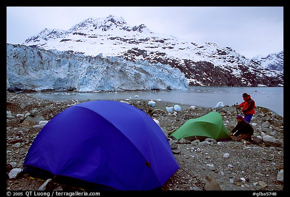 Campers set-up a tent in front of Lamplugh Glacier. Glacier Bay National Park, Alaska