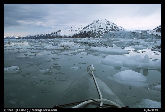 Kayak's prow, floating icebergs, and glacier. Glacier Bay National Park, Alaska