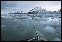 Kayak's prow, floating icebergs, and glacier. Glacier Bay National Park, Alaska (color)