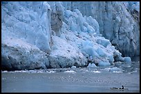 Pictures of Kayaking  Glacier Bay