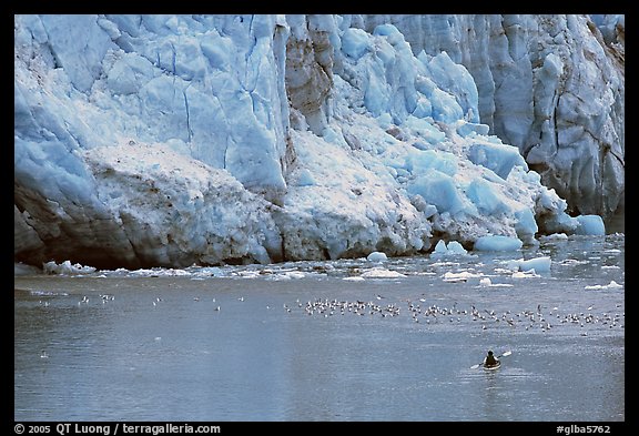 Kayaker at the base  of Lamplugh Glacier. Glacier Bay National Park, Alaska