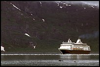 Cruise ship, East arm. Glacier Bay National Park, Alaska ( color)