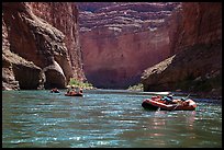 Rafts below Redwall limestone canyon walls, Marble Canyon. Grand Canyon National Park, Arizona ( color)