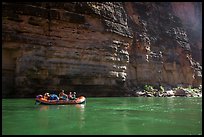 Oar raft on green waters below canyon walls, Marble Canyon. Grand Canyon National Park, Arizona