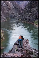 Photographer lying prone with camera over a cliff edge above the Colorado River at Ninetyone mile. Grand Canyon National Park, Arizona ( color)