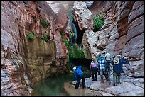 Group of photographers with tripods capturing waterfalls and red rock formations in Elves Chasm. Grand Canyon National Park, Arizona ( color)